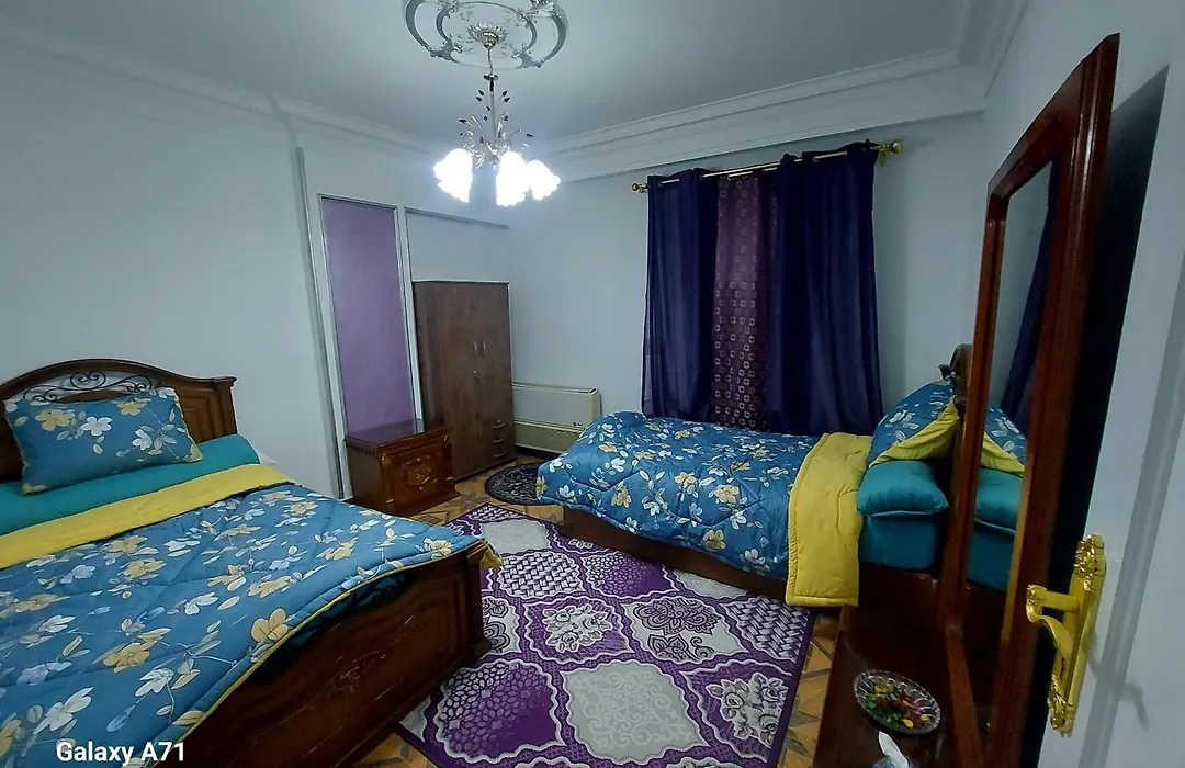 Deluxe Apartment Nasr City-1